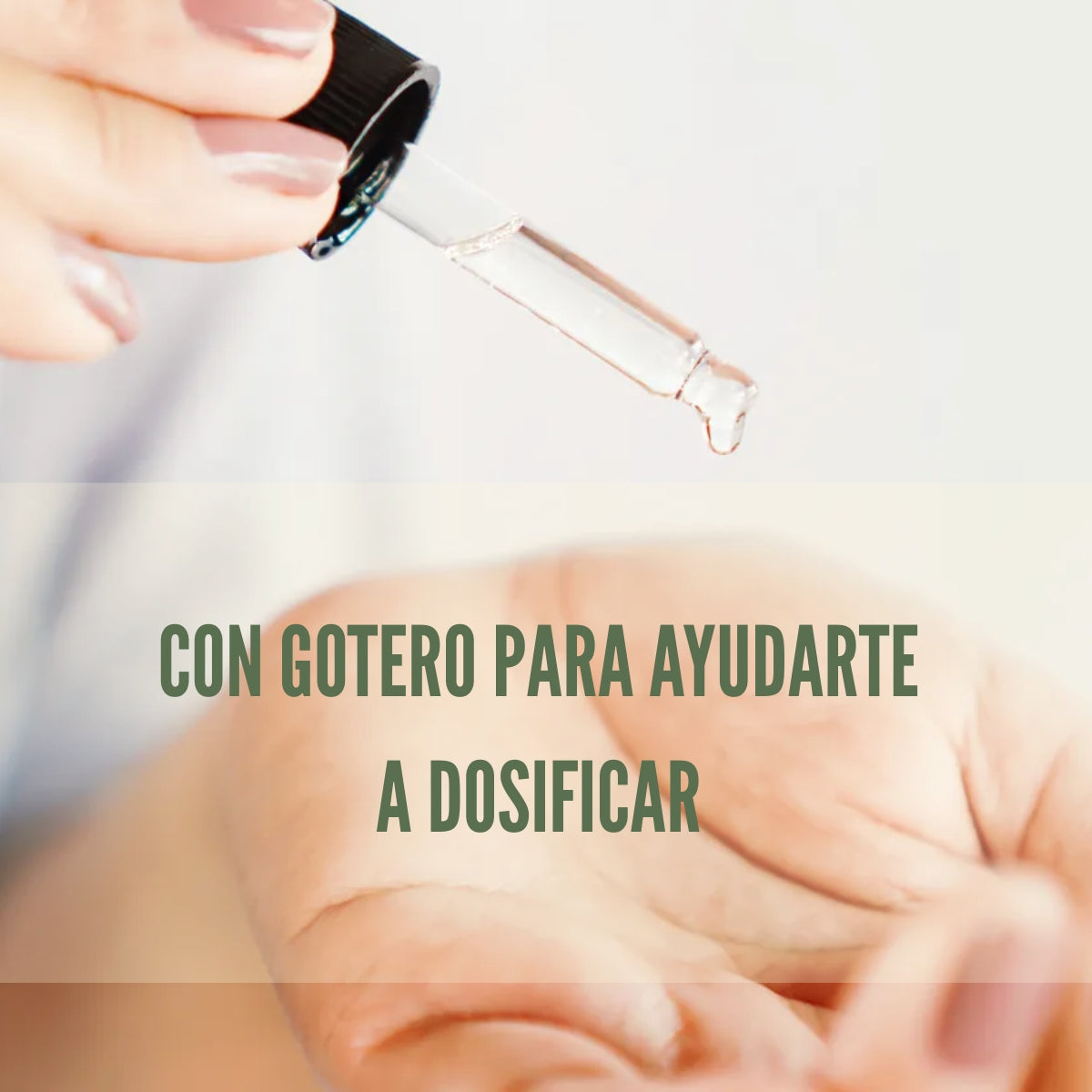 Aceite de Árbol de Té 100% puro, fungicida natural