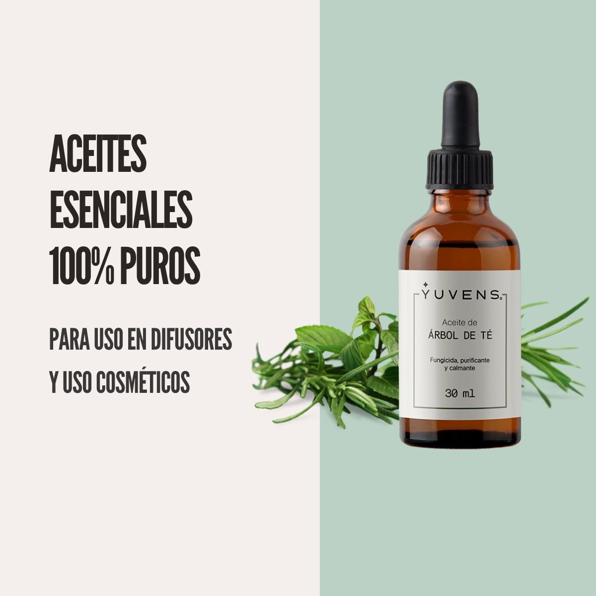 Aceite de Árbol de Té 100% puro, fungicida natural