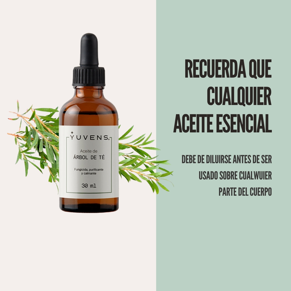 Aceite de Árbol de Té 100% puro, fungicida natural